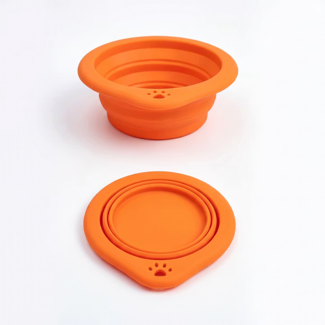 Collapsible Dog Bowl
