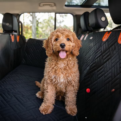 PawTrek Dog Seat Cover