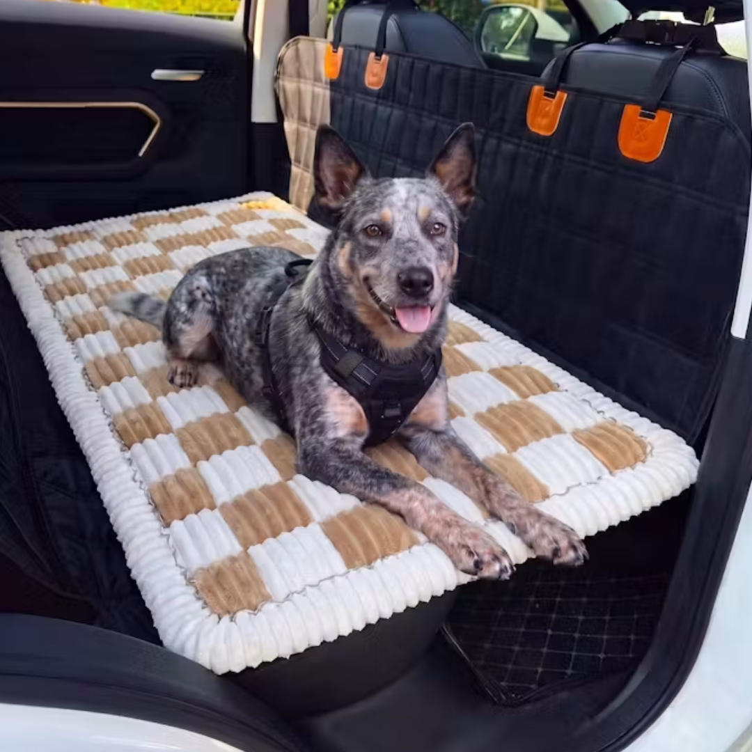 Comfy Car Cushion