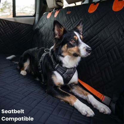 PawTrek Dog Seat Cover
