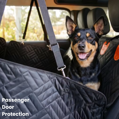 PawTrek Dog Seat Cover