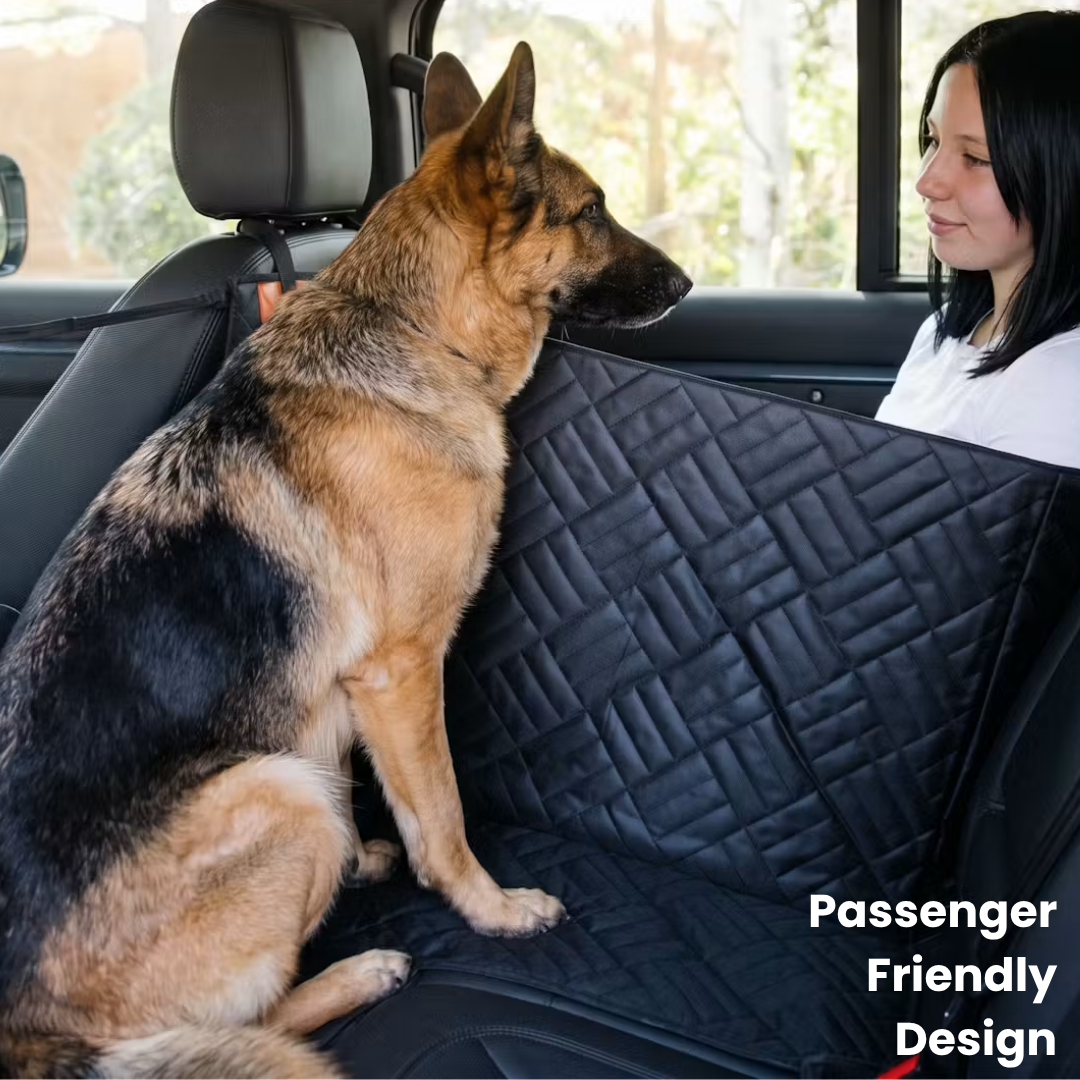PawTrek Dog Seat Cover