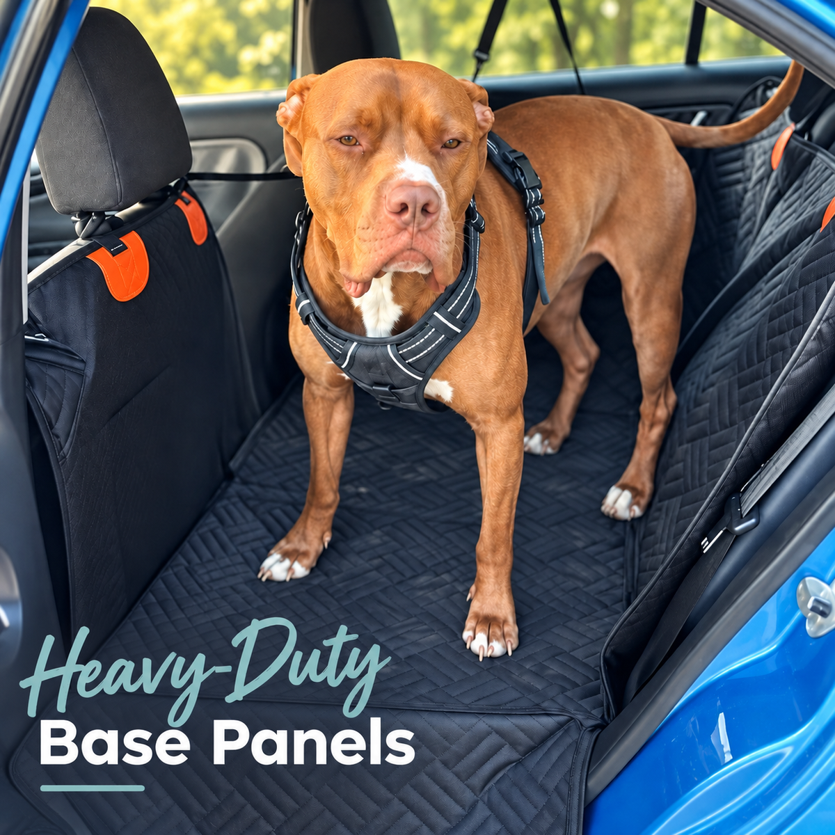 PawTrek Hard Base Dog Seat Cover