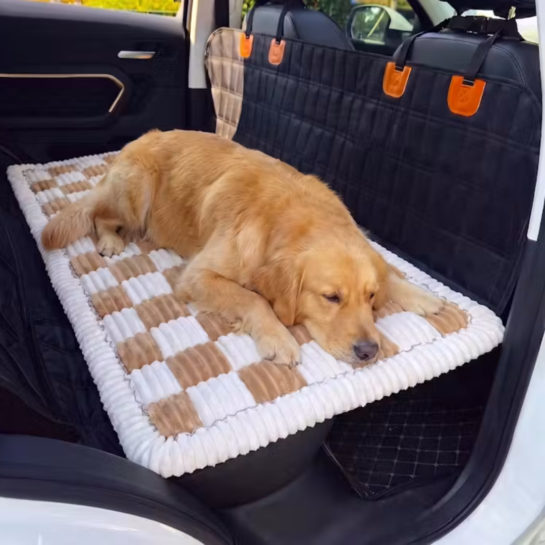 Comfy Car Cushion