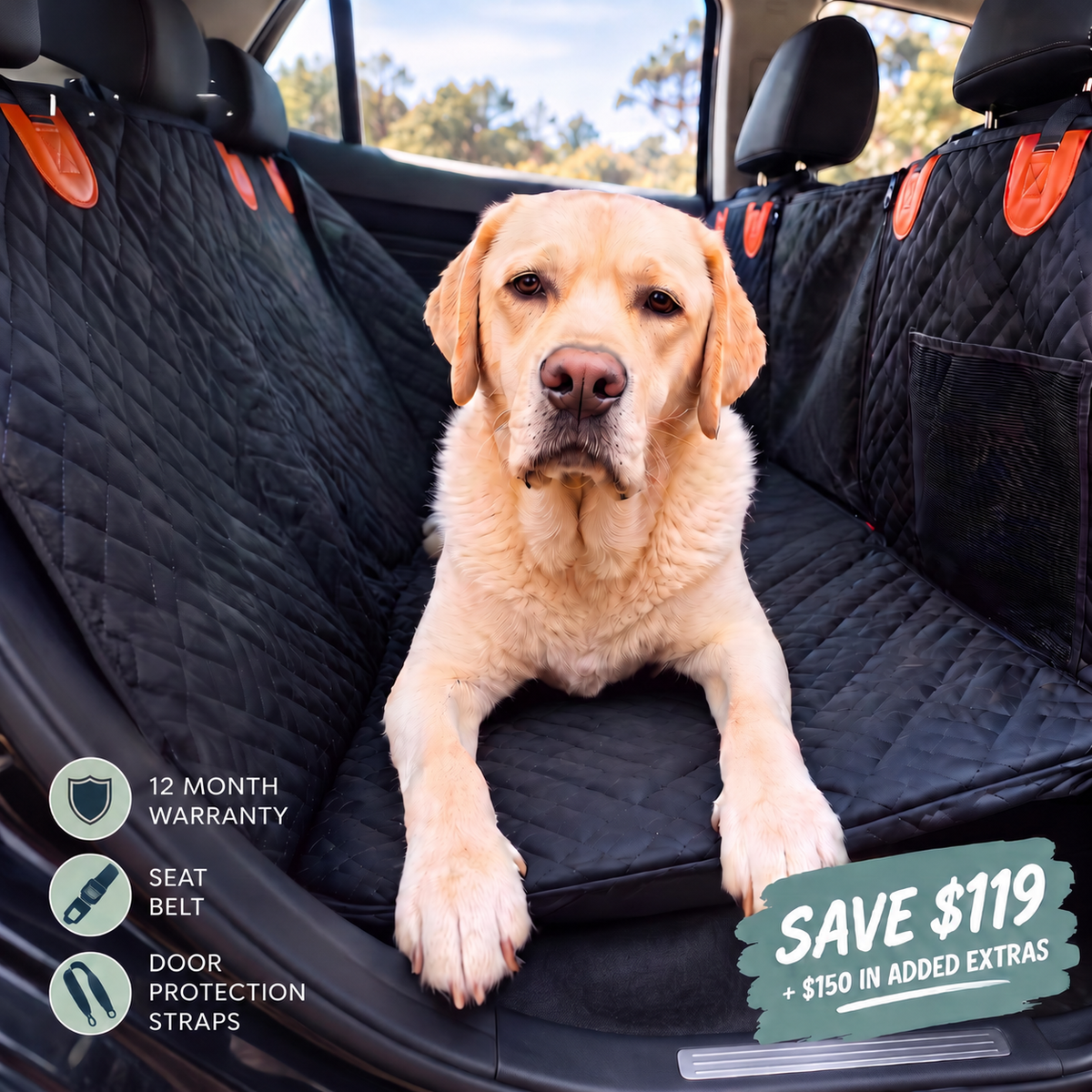 PawTrek Hard Base Dog Seat Cover