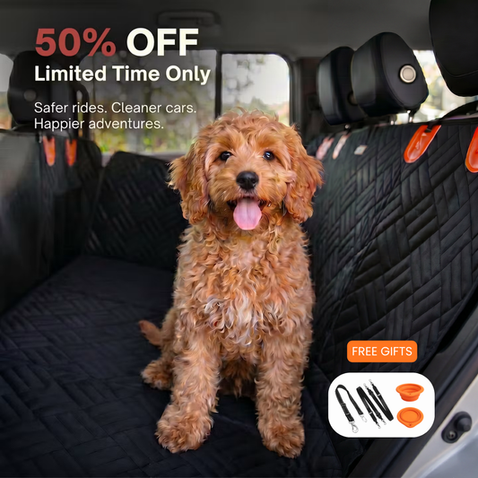 PawTrek Dog Seat Cover